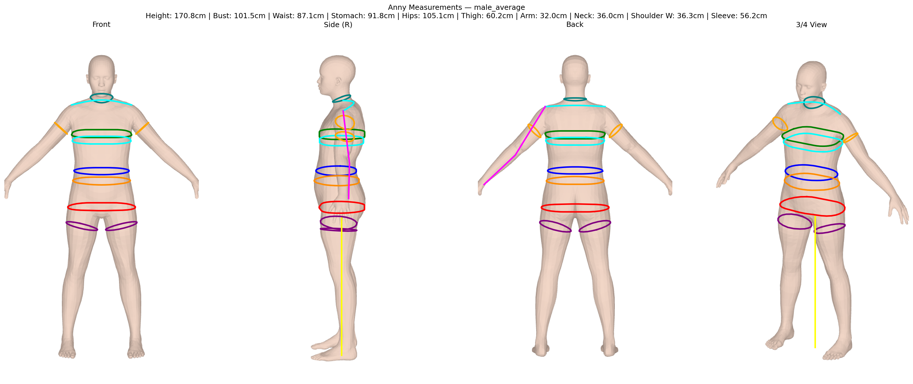 Anny body mesh with circumference measurements — male average body type