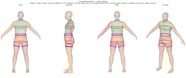 Anny body mesh with circumference measurements — male average body type